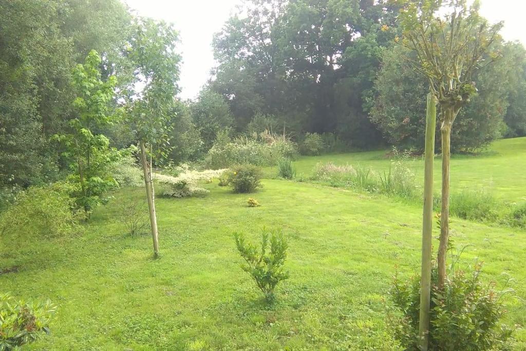Villa La Salamandre - Jullouville Exteriör bild